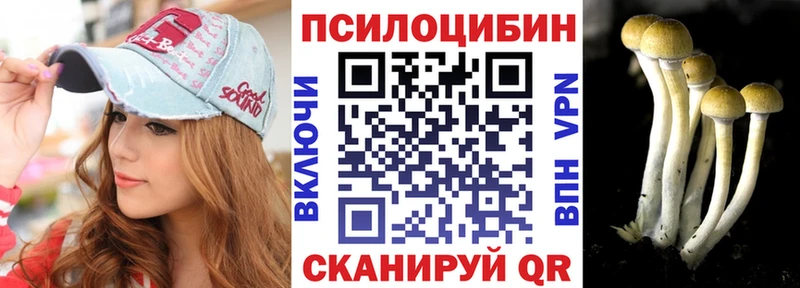 Псилоцибиновые грибы Psilocybe  даркнет клад  Изобильный  где купить наркоту 